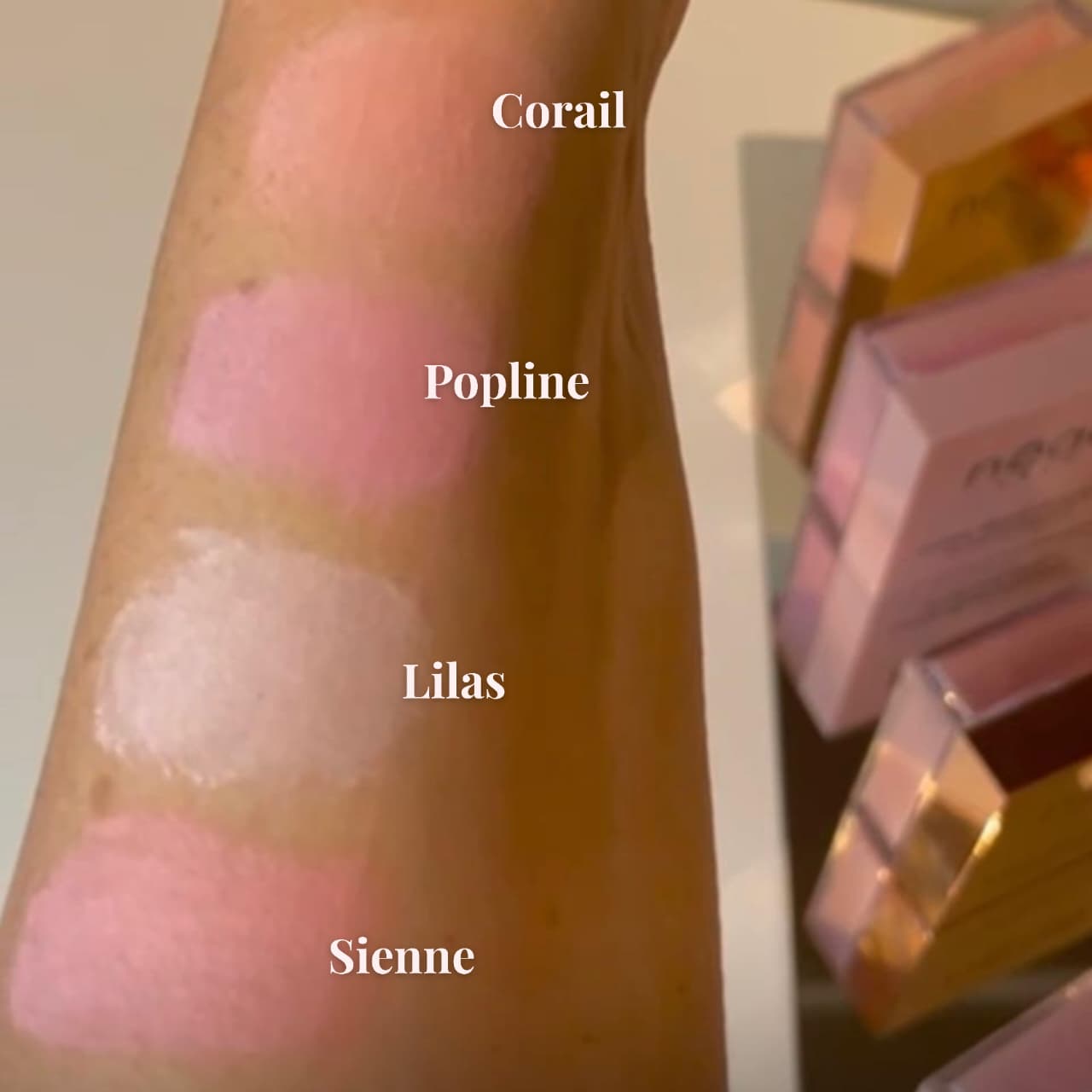 Loose Blush Powder 4 Shades