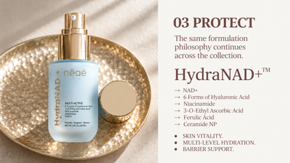 03 PROTECT — HydraNAD+™ | The Next Gen Longevity Collection™